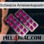 Black Ant Capsules 10
